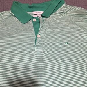 Calvin Klein Mint and White Striped Polo Shirt